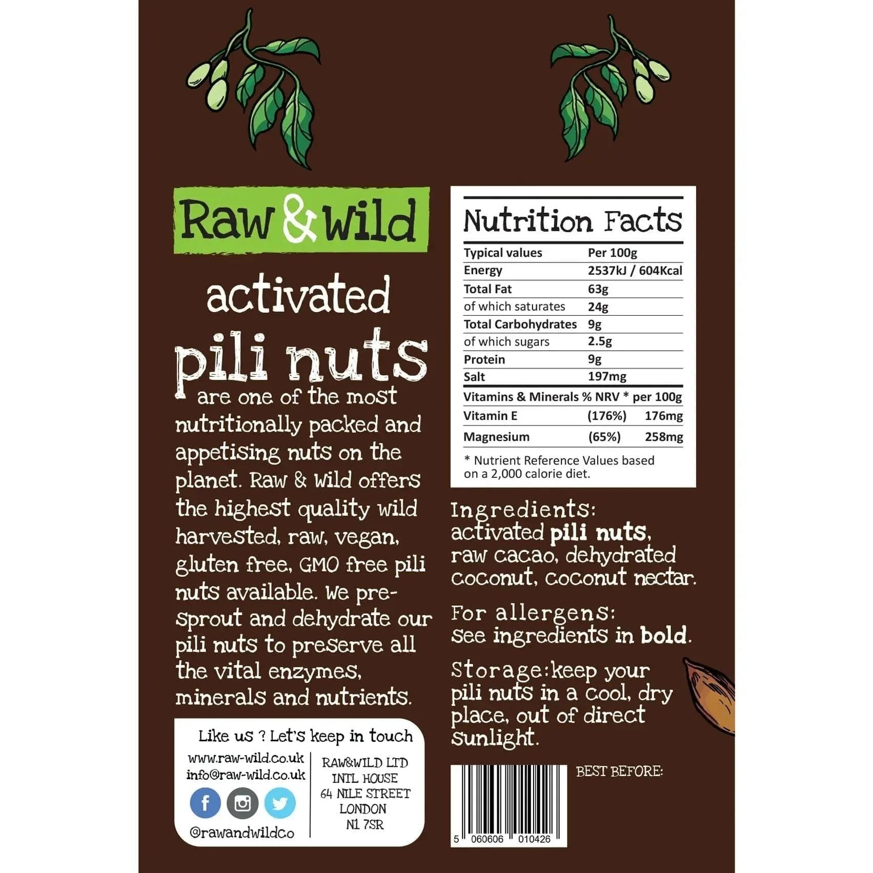Raw & Wild Pili Nuts Chocolate & Coconut Raw & Wild 22g 03200003 Vital20