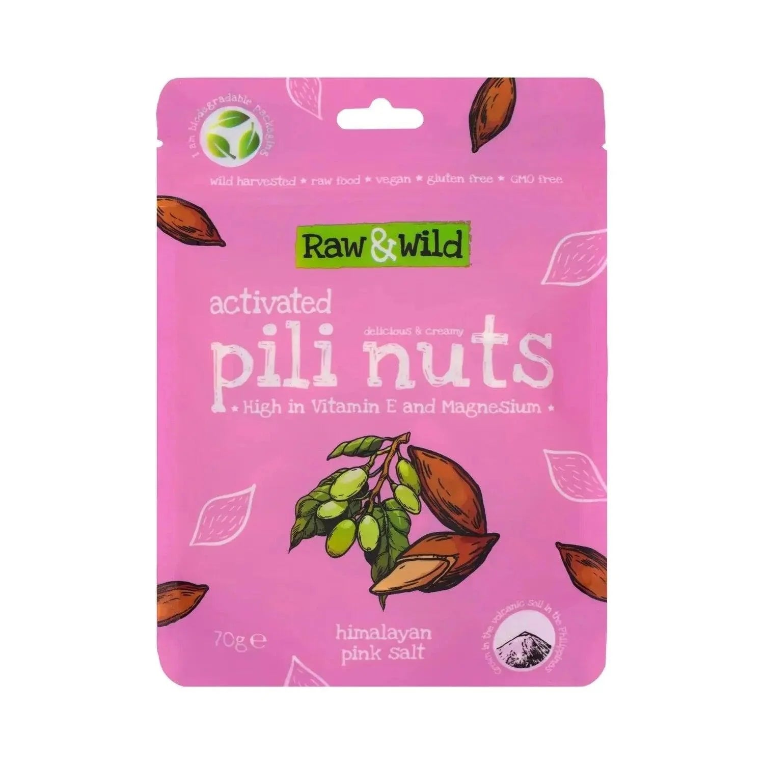Raw & Wild Pili Nuts Himalayan Pink Salt Raw & Wild 70g 03200006 Vital20