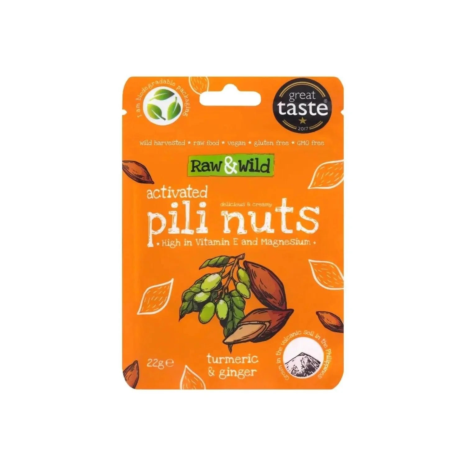 Raw & Wild Pili Nuts Turmeric & Ginger Raw & Wild 22g 03200009 Vital20