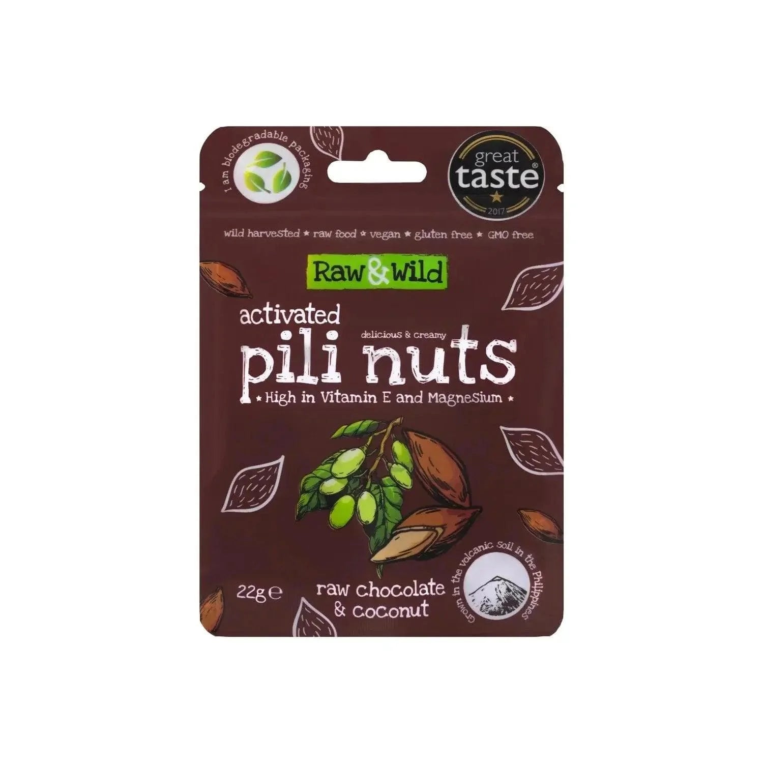 Pili Nuts Chocolate & Coconut Raw & Wild 22g raw & wild Snacks 03200003
