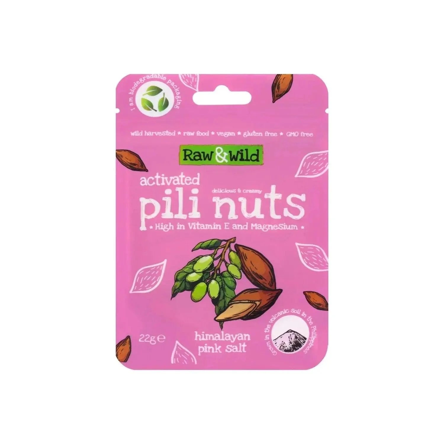 Pili Nuts Himalayan Pink Salt Raw & Wild 22g x12 raw & wild Snacks 03200013